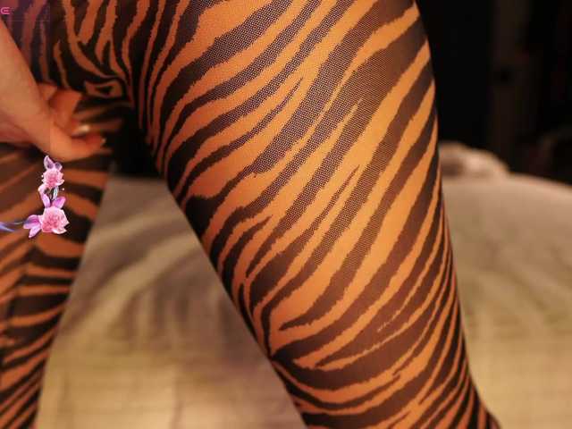 Koketka's BongaCams show and profile