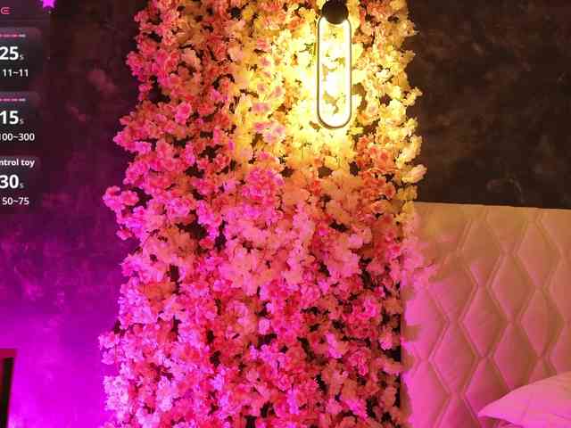 Koketka Live Webcam on BongaCams