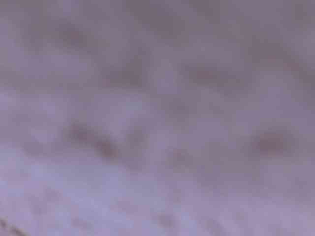Koketka webcam