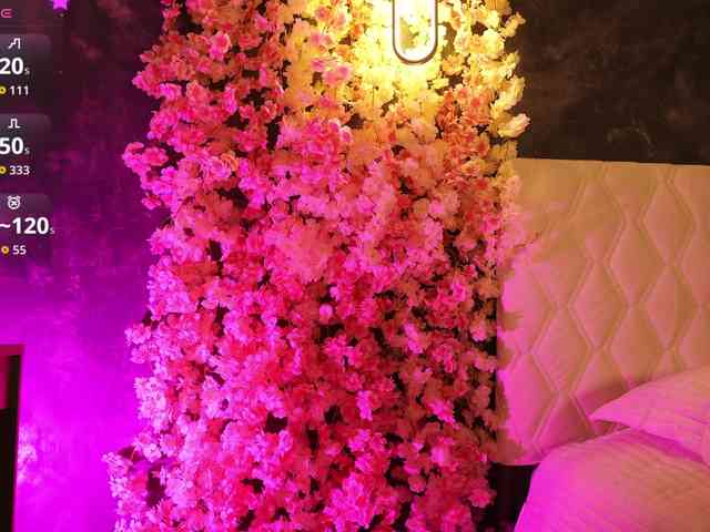 Koketka Live Webcam on BongaCams