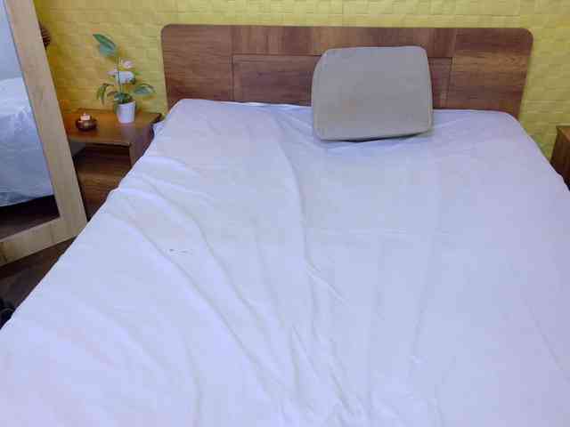 shamira-moore shamira-moore