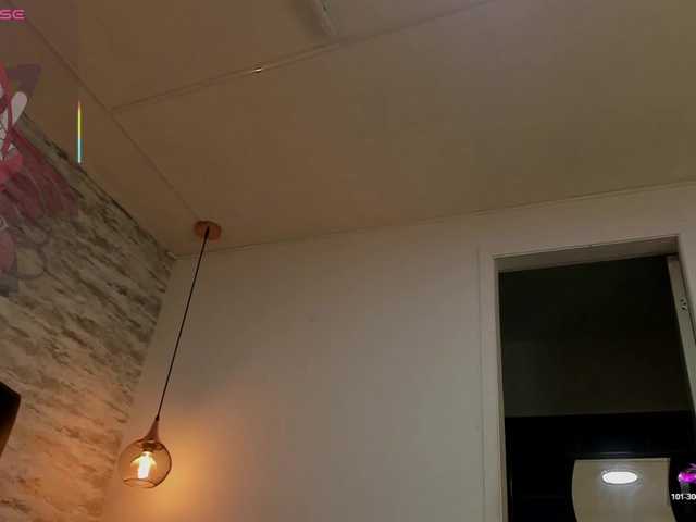 exotical-baby's BongaCams show and profile