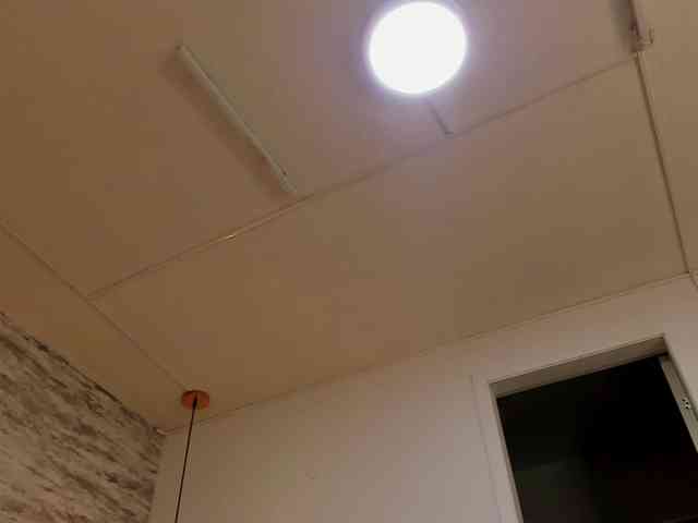 exotical-baby webcam