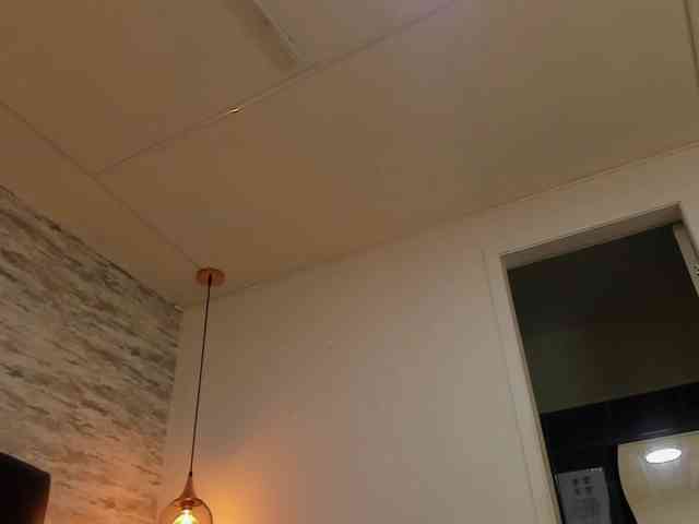 exotical-baby webcam