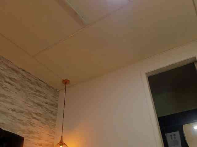 exotical-baby webcam