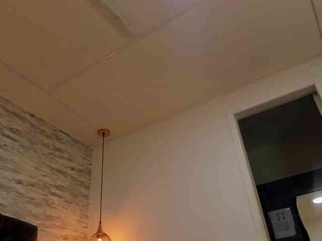 exotical-baby webcam