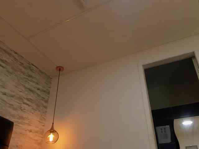 exotical-baby webcam