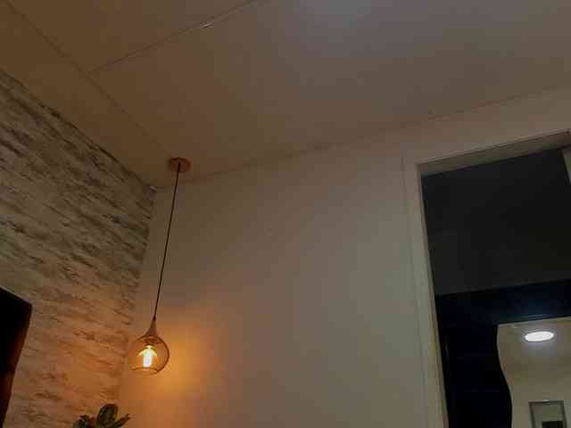 exotical-baby exotical-baby