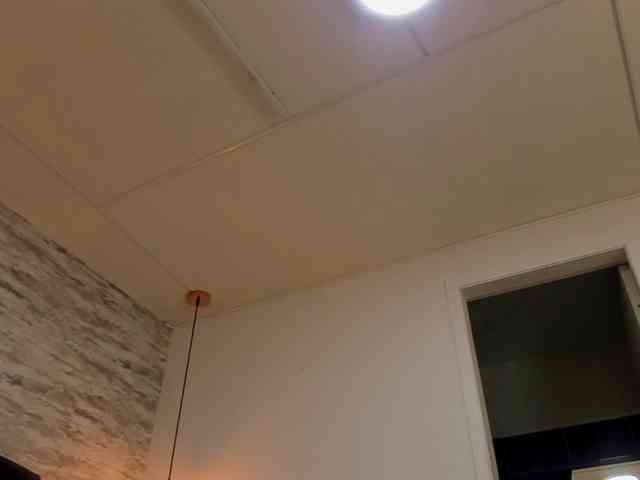 exotical-baby webcam