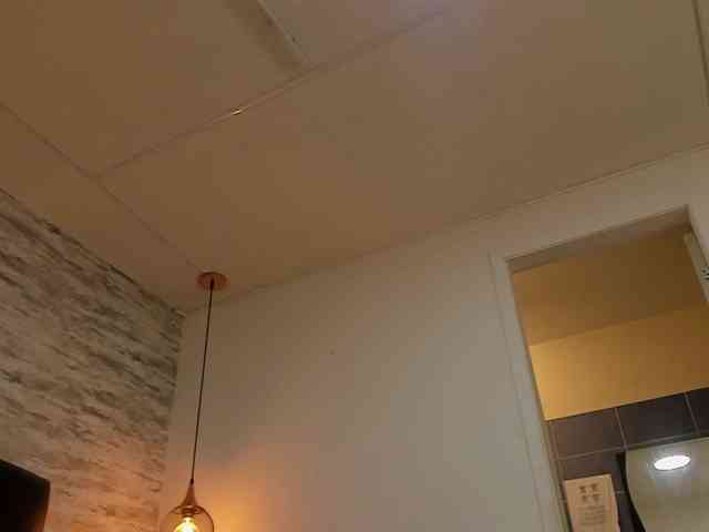 exotical-baby webcam