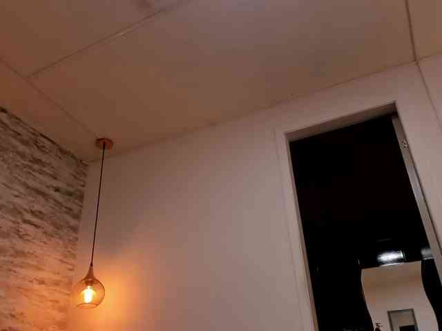 exotical-baby exotical-baby