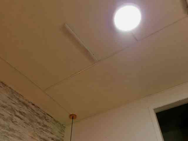 exotical-baby webcam