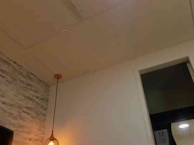 exotical-baby webcam