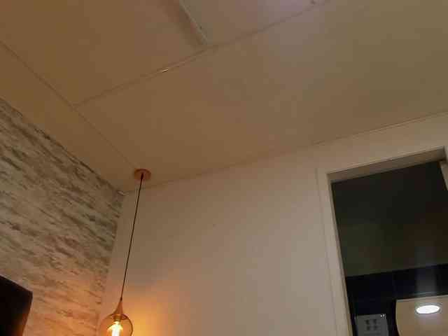 exotical-baby webcam