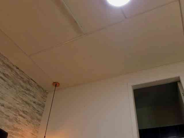 exotical-baby webcam