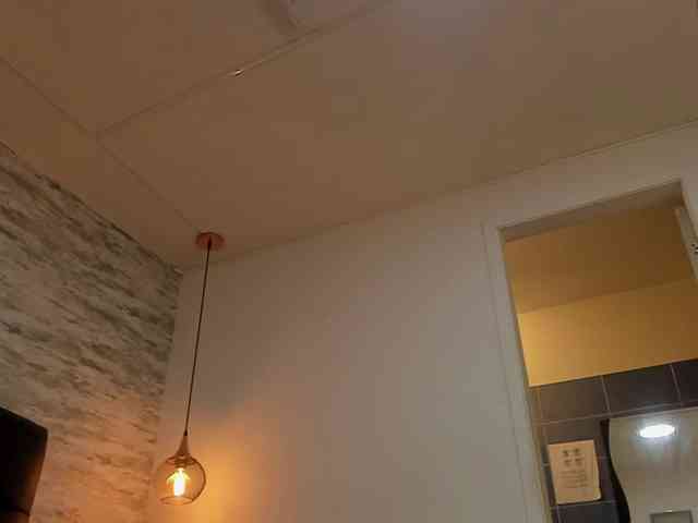 exotical-baby webcam