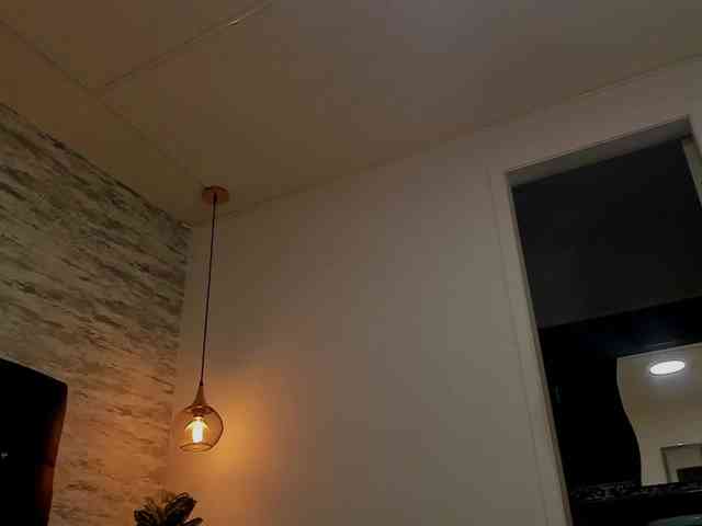 exotical-baby exotical-baby