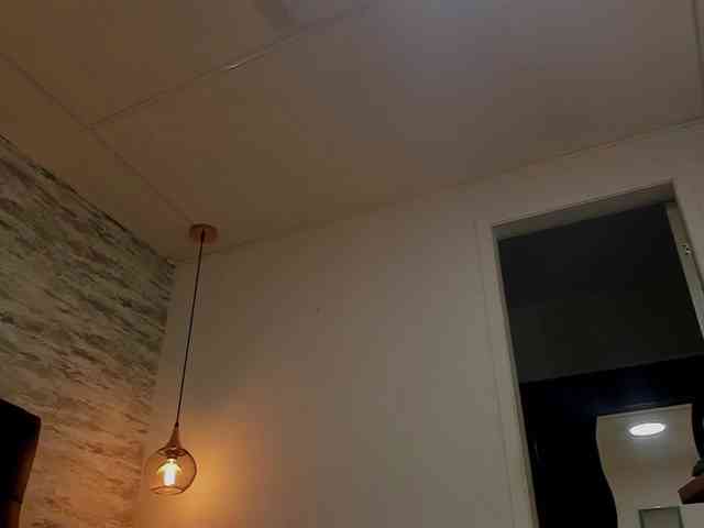 exotical-baby exotical-baby