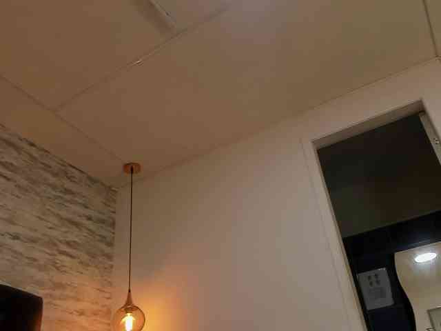 exotical-baby webcam