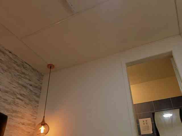 exotical-baby webcam