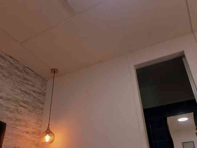 exotical-baby exotical-baby