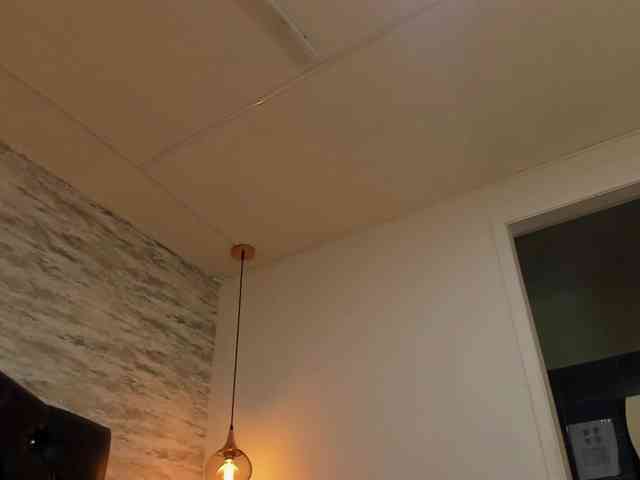 exotical-baby webcam