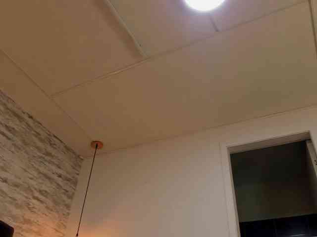 exotical-baby webcam