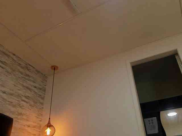 exotical-baby webcam