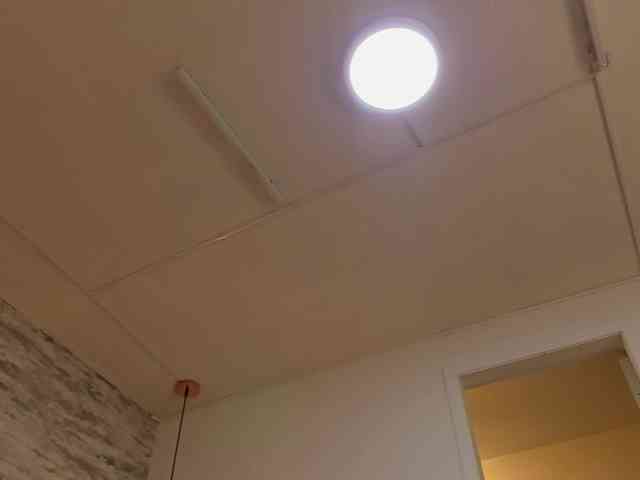 exotical-baby webcam