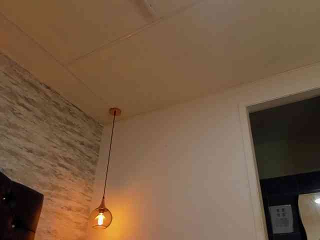 exotical-baby webcam