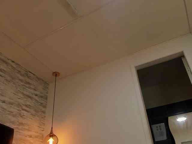 exotical-baby webcam