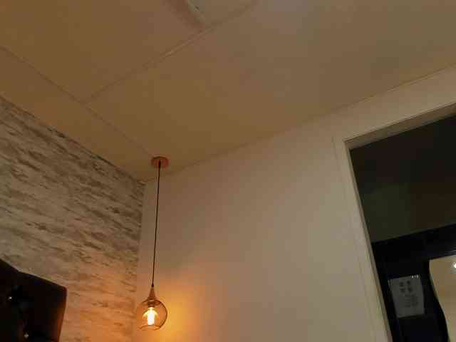 exotical-baby webcam