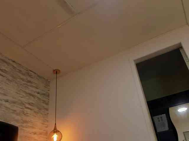 exotical-baby webcam