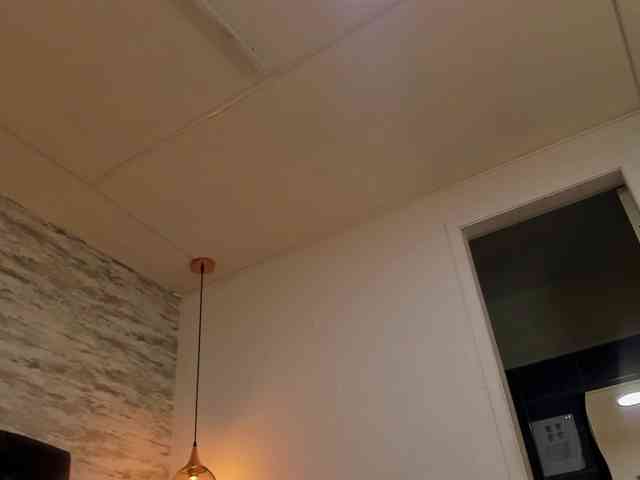 exotical-baby webcam