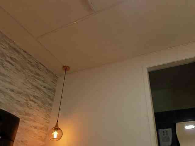 exotical-baby webcam