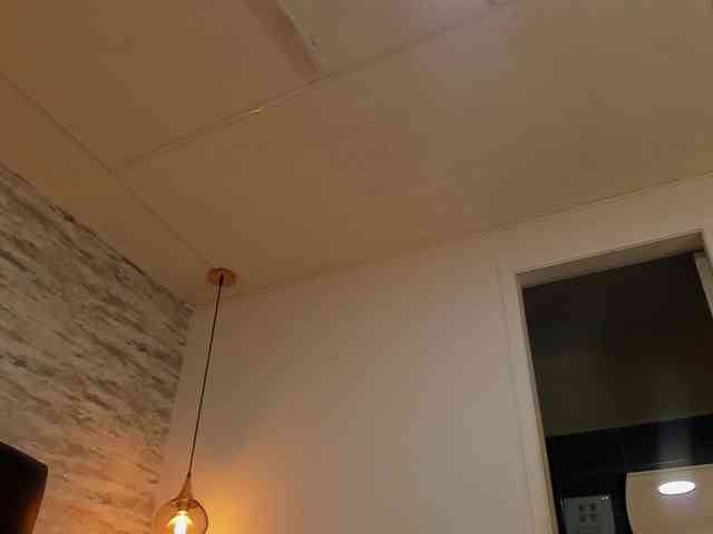 exotical-baby webcam