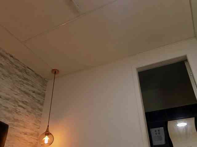 exotical-baby webcam