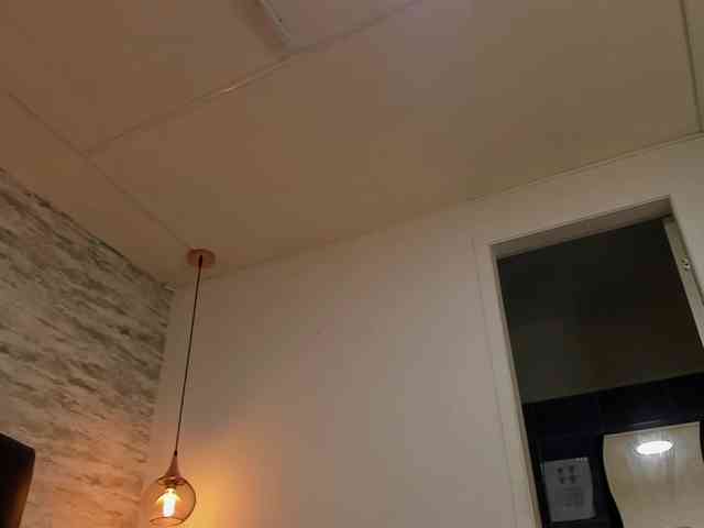 exotical-baby webcam