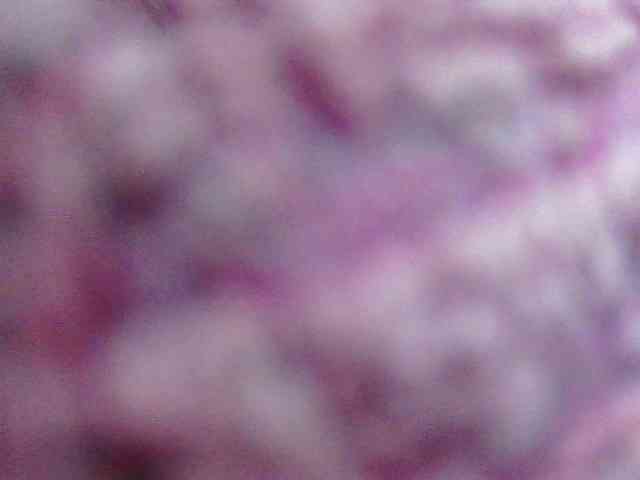 RACHELL-HOT RACHELL-HOT