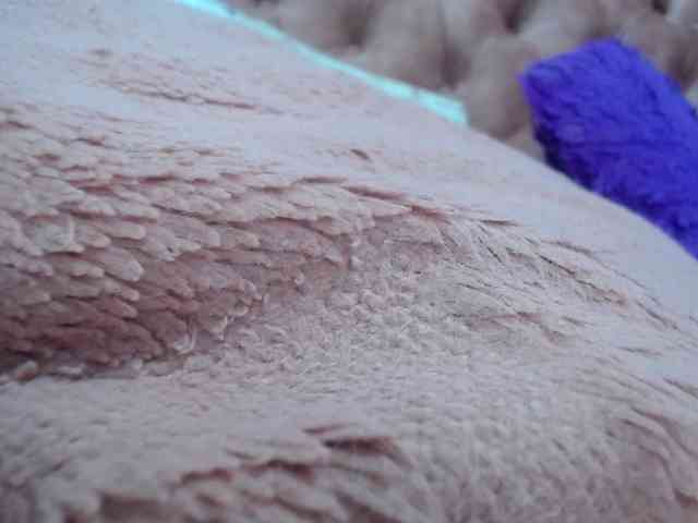 RACHELL-HOT webcam