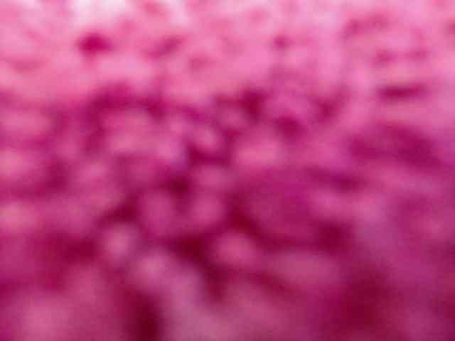 RACHELL-HOT webcam