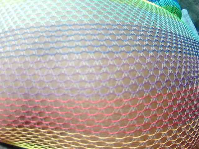 RACHELL-HOT RACHELL-HOT