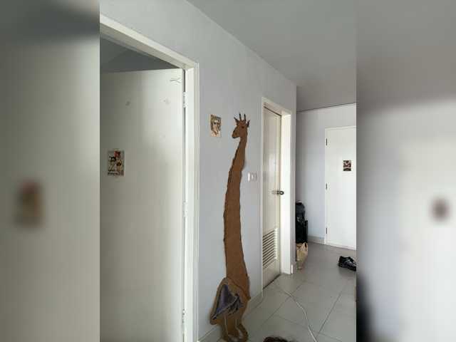 thechloee's BongaCams show and profile