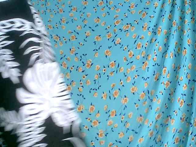 Monicaxa webcam