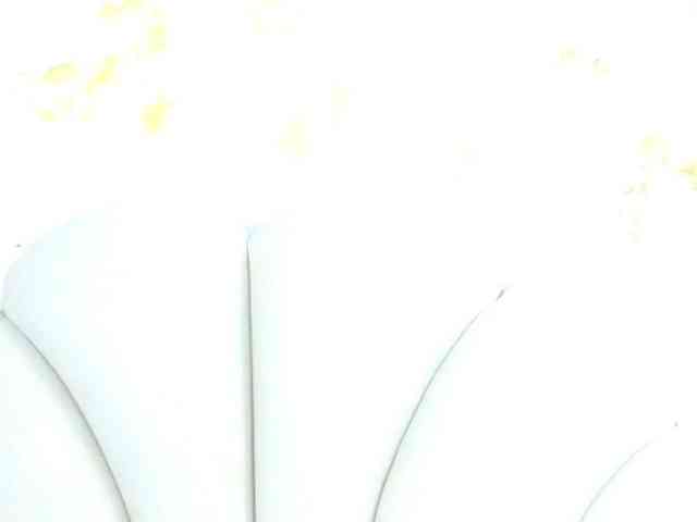 bonieklent bonieklent