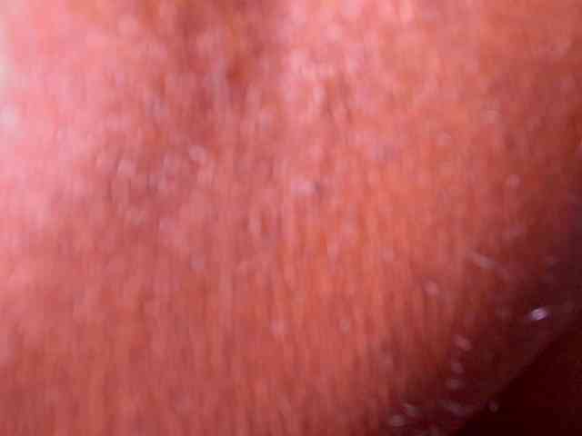 ssusy-ebony webcam