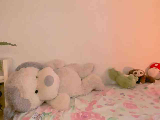 kiwi----- webcam