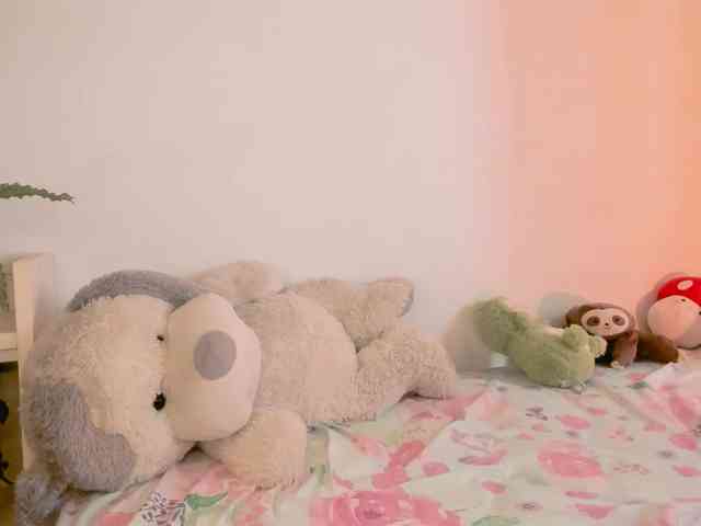 kiwi----- webcam