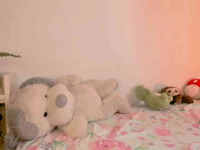 kiwi----- webcam