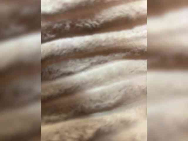 Tvoja_sosedka webcam